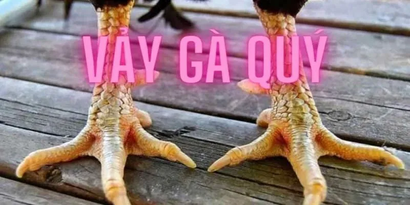 Giới thiệu về vảy gà quý